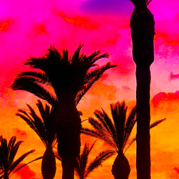 Photographie intitulée "The PALM TREES in R…" par Idaver / Idawer, Œuvre d'art originale, Photographie numérique