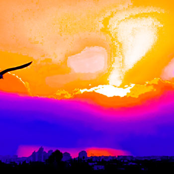 Photography titled "SUNSET with Bird in…" by Idaver / Idawer, Original Artwork, Digital Photography