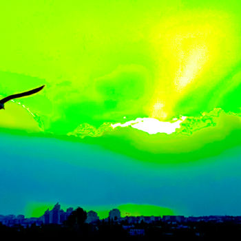 Fotografia intitulada "SUNSET with Bird in…" por Idaver / Idawer, Obras de arte originais, Fotografia digital