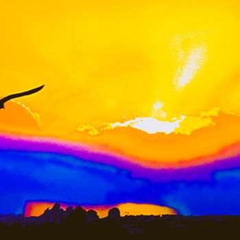 「SUNSET with Bird in…」というタイトルの写真撮影 Idaver / Idawerによって, オリジナルのアートワーク, デジタル