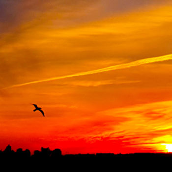 Fotografía titulada "Beautiful SUNSET in…" por Idaver / Idawer, Obra de arte original, Fotografía digital