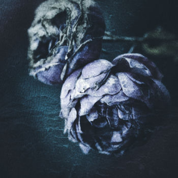 Photography titled "Roses in blue momen…" by Ines Markwardt, Original Artwork, Manipulated Photography
