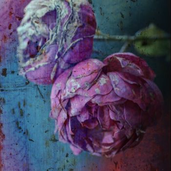 Photographie intitulée "Roses in pink momen…" par Ines Markwardt, Œuvre d'art originale, Photographie manipulée