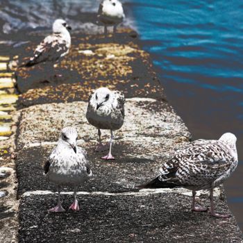 "QG -(Quai des Goéla…" başlıklı Fotoğraf Michel Stephan tarafından, Orijinal sanat, Dijital Fotoğrafçılık