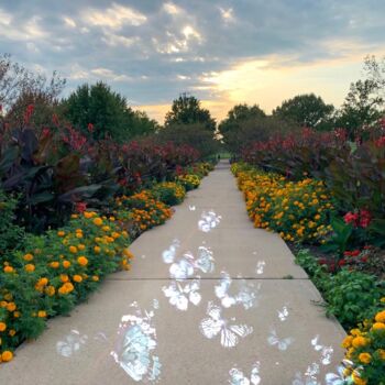 Fotografia zatytułowany „Garden Stroll” autorstwa Artistry By Ajanta, Oryginalna praca, Fotografia cyfrowa