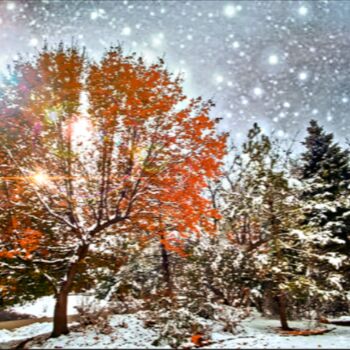 Fotografie mit dem Titel "A Snowy Holiday Gre…" von Artistry By Ajanta, Original-Kunstwerk, Digitale Fotografie