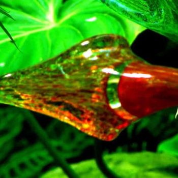 Photography titled "Glass bud" by Newman Mindy, Original Artwork, Other