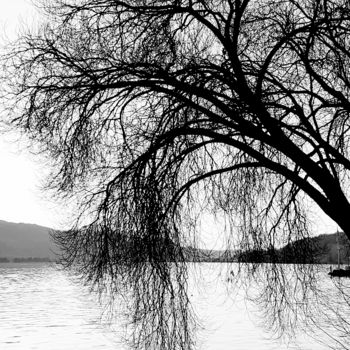 Фотография под названием "Lake" - Art Moé, Подлинное произведение искусства, Цифровая фотография