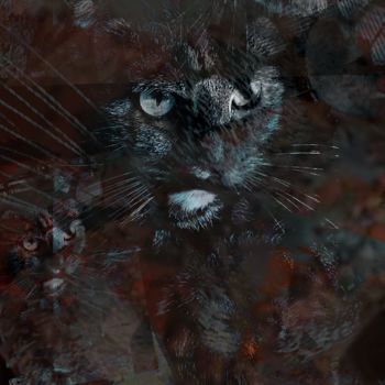 Arts numériques intitulée "Cat" par Art Moé, Œuvre d'art originale, Travail numérique 2D Monté sur Aluminium