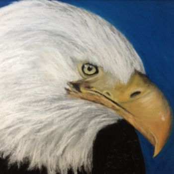 Peinture intitulée "Aigle à tête blanche" par Obrey, Œuvre d'art originale, Pastel