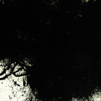 Рисунок под названием "The Fallen Tree" - Artur Mloian, Подлинное произведение искусства, Чернила