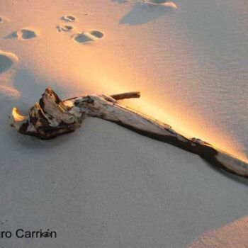 Fotografia zatytułowany „Desde el arca” autorstwa Arturo Carrión, Oryginalna praca