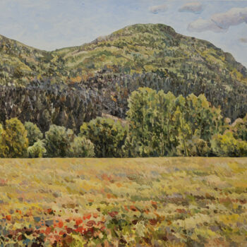 Painting titled "The hills of Dobrog…" by Marius Vancea, Original Artwork, Acrylic