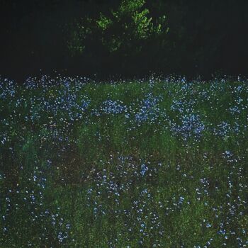 Photographie intitulée "WOODSTOCK" par Astr, Œuvre d'art originale, Photographie non manipulée Monté sur Aluminium