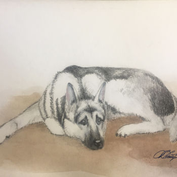 Рисунок под названием "Пёс" - Аркадий Астров, Подлинное произведение искусства, Карандаш