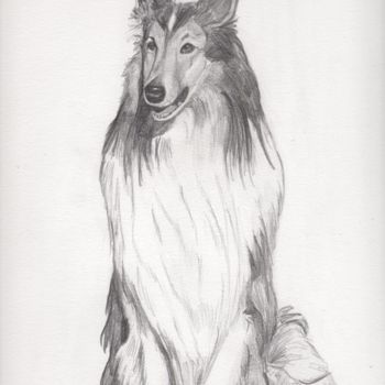 Drawing titled "COLLEY" by Lilou, Original Artwork, Other