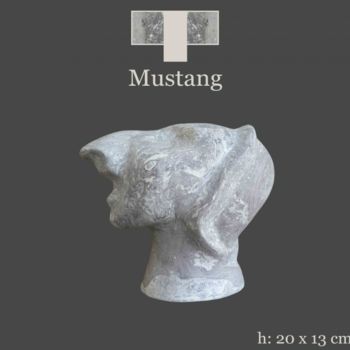 Sculpture intitulée "mustang" par Myriam Prijent, Œuvre d'art originale