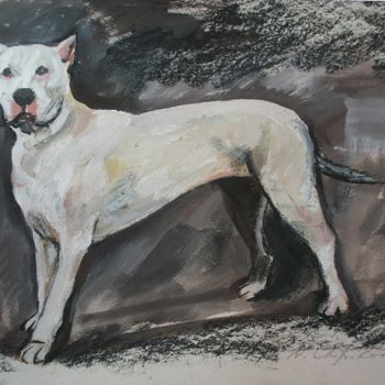 Painting titled "Pitbull blanc" by Atelier N N . Art Store By Nat, Original Artwork, Gouache