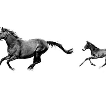 Photography titled "PREMIER GALOP" by Atrayoux, Original Artwork, Digital Photography Mounted on Other rigid panel