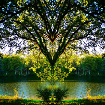 Photography titled "Collier d'Arbre" by Audrey Chaa, Original Artwork, Manipulated Photography
