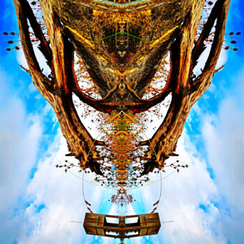 Photography titled "Tour de Scarabé" by Audrey Chaa, Original Artwork, Manipulated Photography