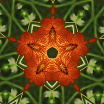 Photographie intitulée "Fleur N°5" par Audrey Chaa, Œuvre d'art originale, Photographie manipulée Monté sur Plexiglas
