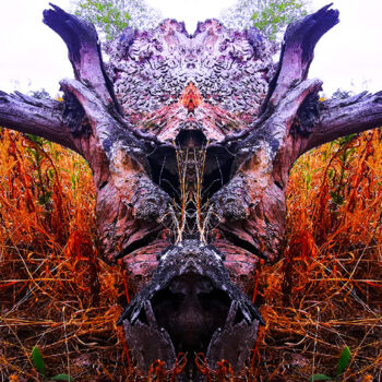 Photographie intitulée "Dinotronc" par Audrey Chaa, Œuvre d'art originale, Photographie manipulée Monté sur Aluminium