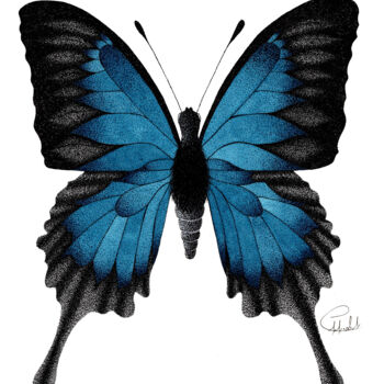Drawing titled "Papillon Ulysse" by Audrey Lafolie (Ondine), Original Artwork, Ink