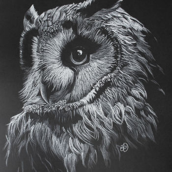 Drawing titled "White Owl" by Audrey Delaye, Original Artwork, Pencil