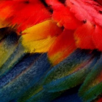 Artes digitais intitulada "Macaw Plume" por August, Obras de arte originais