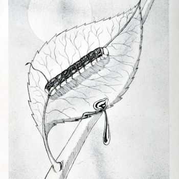 Drawing titled "O mandruvá" by Dimarco.Art, Original Artwork, Ink
