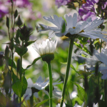 Photographie intitulée "FLOWER V: "Dewdrop"…" par Curtis H. Jones, Œuvre d'art originale, Photographie numérique