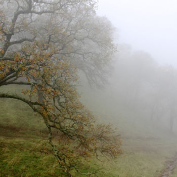 Photography titled "LANDSCAPES: MISTS V…" by Curtis H. Jones, Original Artwork, Digital Photography Mounted on Wood Stretche…