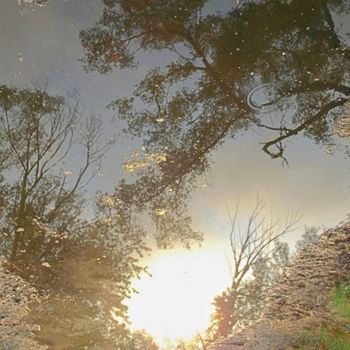 Photographie intitulée "FAIRMOUNT BRIDGE V:…" par Curtis H. Jones, Œuvre d'art originale, Photographie numérique Monté sur C…