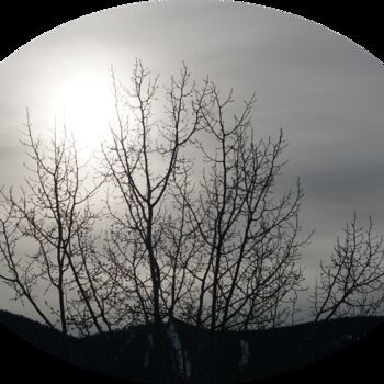 Photography titled "Grey Winter Sunrise" by Curtis H. Jones, Original Artwork, Digital Photography Mounted on Wood Stretcher…