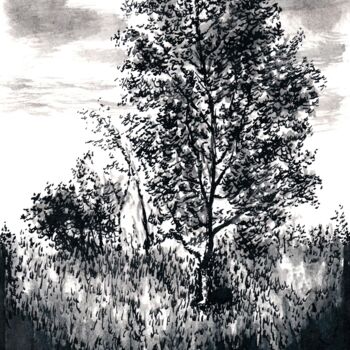 Drawing titled "The Birch / Березка" by Vladimir Abaimov, Original Artwork, Ink