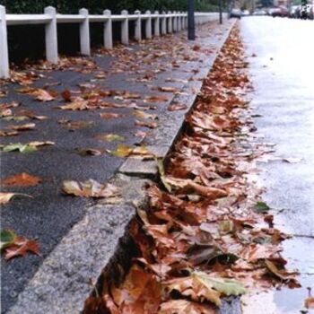 Photographie intitulée "L'automne se range" par Axelle Perrève, Œuvre d'art originale