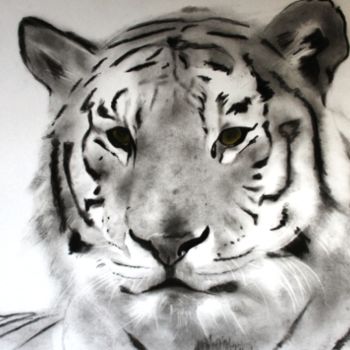 Drawing titled "tigre" by Aymeric Bordone, Original Artwork, Pencil