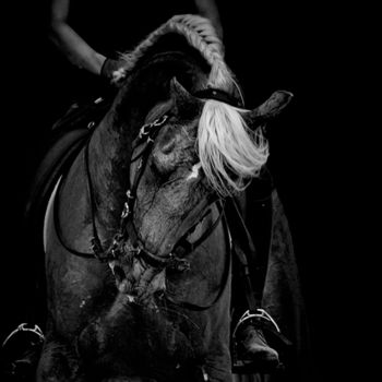Photography titled "Horses 1" by Laura Galinier (Azalé Photo), Original Artwork