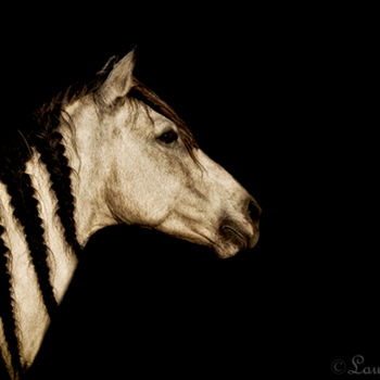 Fotografía titulada "Horses 5" por Laura Galinier (Azalé Photo), Obra de arte original