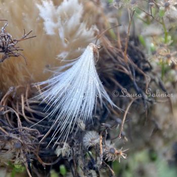 Photography titled "Automne : l'articha…" by Laura Galinier (Azalé Photo), Original Artwork