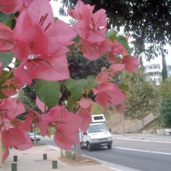 Fotografía titulada "BUGANVILLA EN LA CA…" por Mary Carmen Diez Colorado, Obra de arte original