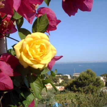 Fotografía titulada "BUGANVILLA Y ROSA A…" por Mary Carmen Diez Colorado, Obra de arte original