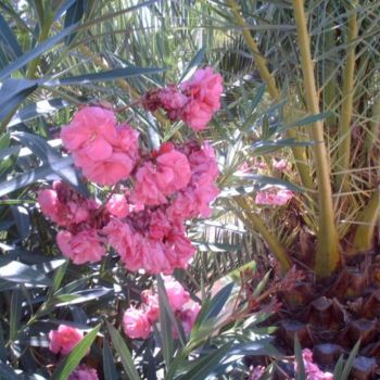 Fotografía titulada "PALMERA Y FLORES." por Mary Carmen Diez Colorado, Obra de arte original