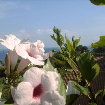 Fotografía titulada "CAMPANAS ROSAS." por Mary Carmen Diez Colorado, Obra de arte original