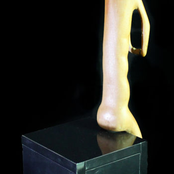 Sculpture intitulée "observador-5.jpg" par R Bacchi, Œuvre d'art originale