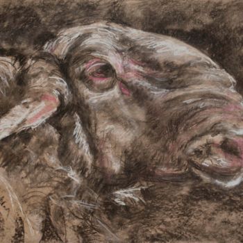 Disegno intitolato "Mon beau mouton" da Barbara Guias-Vaquier, Opera d'arte originale