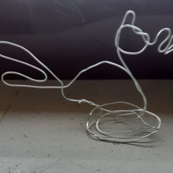 Sculpture titled "canard" by Balavoine Sophie, Original Artwork, Wire