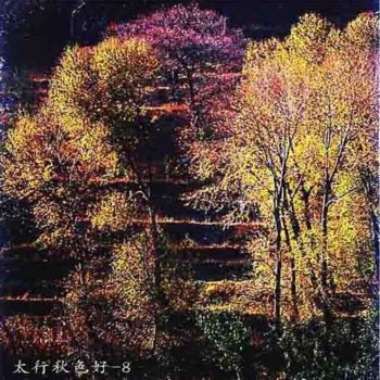 摄影 标题为“秋天的太行山-30” 由半影老人, 原创艺术品