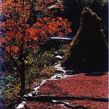 제목이 "秋天的太行山-33"인 사진 半影老人로, 원작